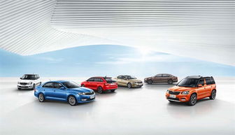 斯柯達(dá)品牌喜迎120周年 全球年銷量突破百萬(wàn) 中國(guó)市場(chǎng)增長(zhǎng)26%